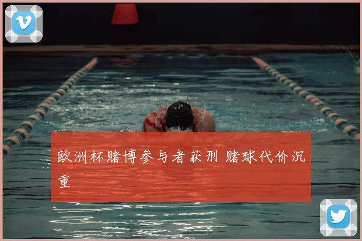 欧洲杯赌博参与者获刑 赌球代价沉重