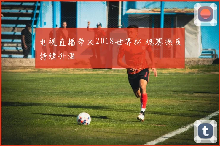 电视直播带火2018世界杯 观赛热度持续升温