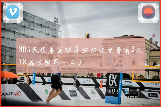 NBA现役最高球员波尔波尔身高2米18成联盟第一巨人